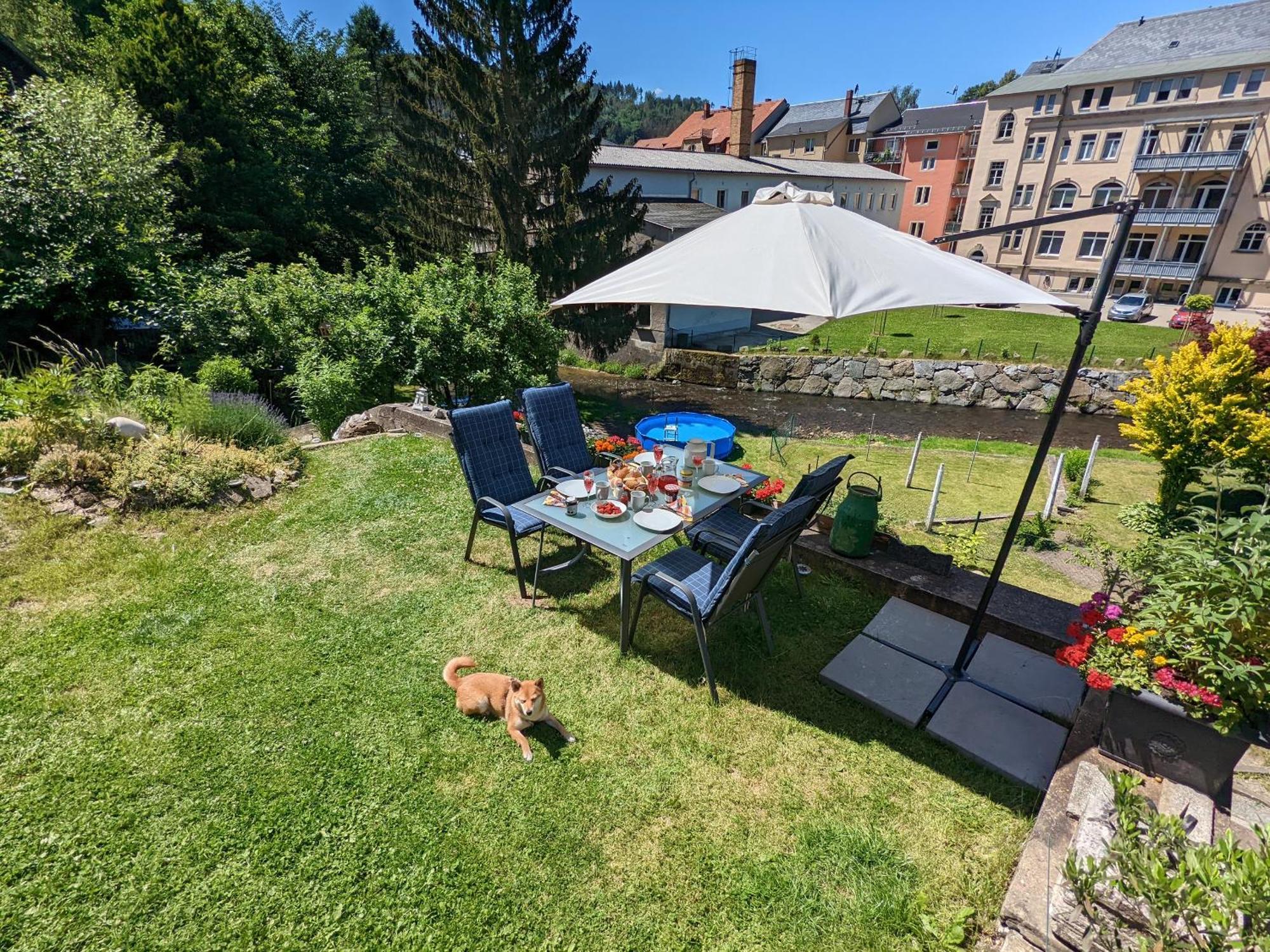 Hw4B - Urlaubsmagie - Zentral Mit Gemeinschaftsgarten, -Pool, -Sauna & Whirlpool Sebnitz Exteriör bild